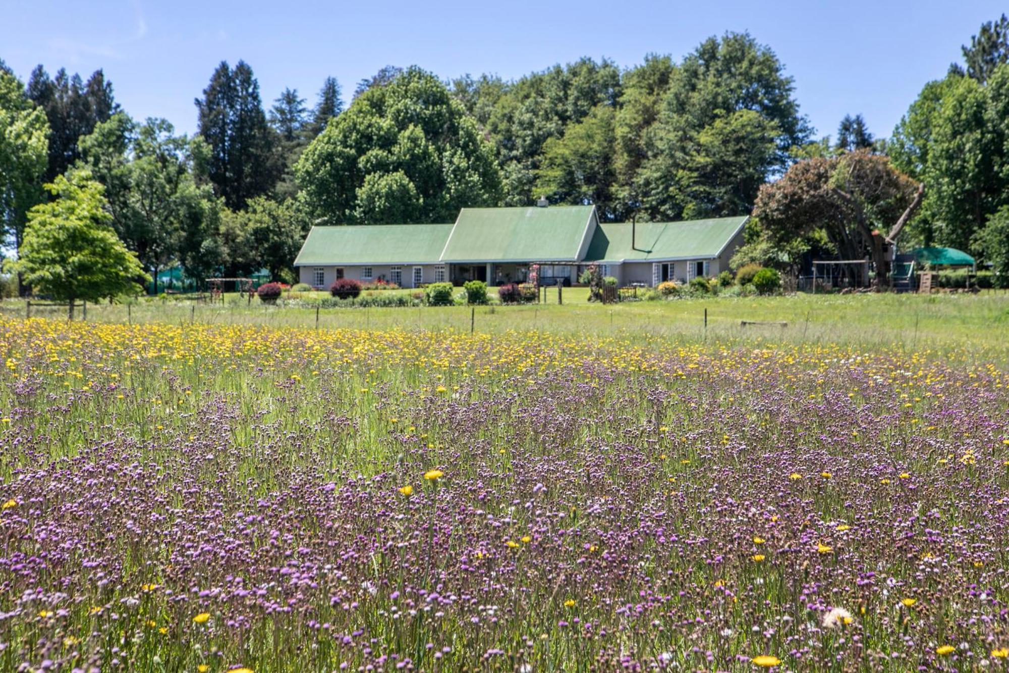 Khanyeni Himeville Bagian luar foto