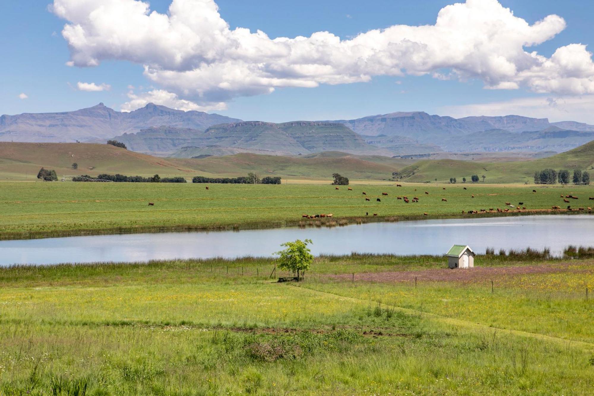 Khanyeni Himeville Bagian luar foto